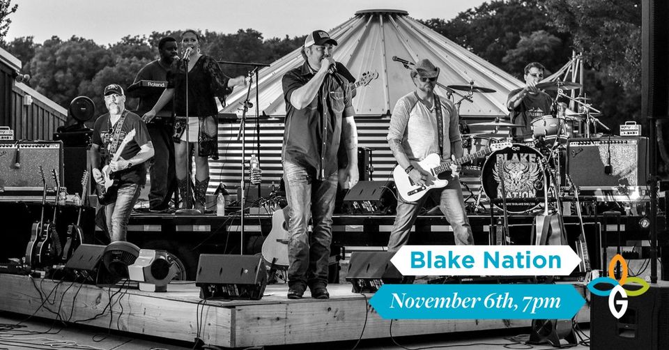 use your illusion concert the colony texas