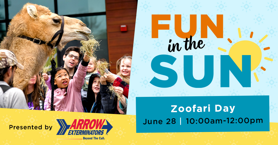 Fun in the Sun: Zoofari Day