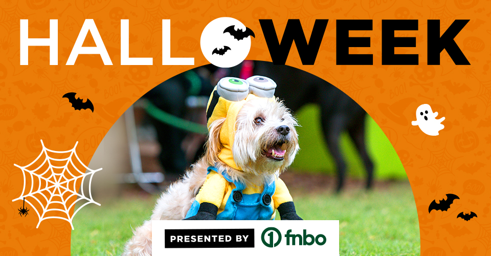 Halloweek: HOWL-O-WEEN Parade