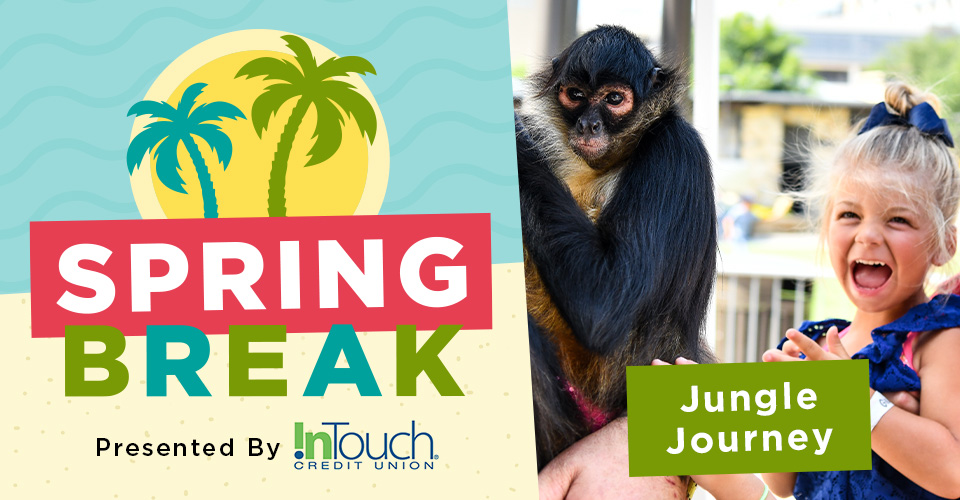 Spring Break: Jungle Journey