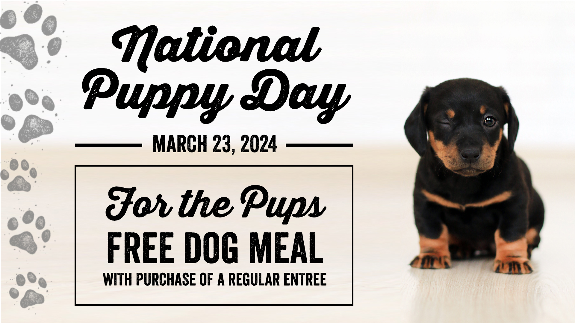 National Puppy Day Rock & Brews