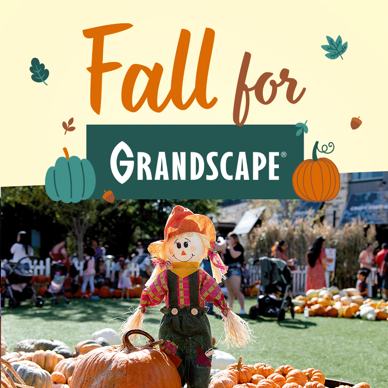 Fall for Grandscape