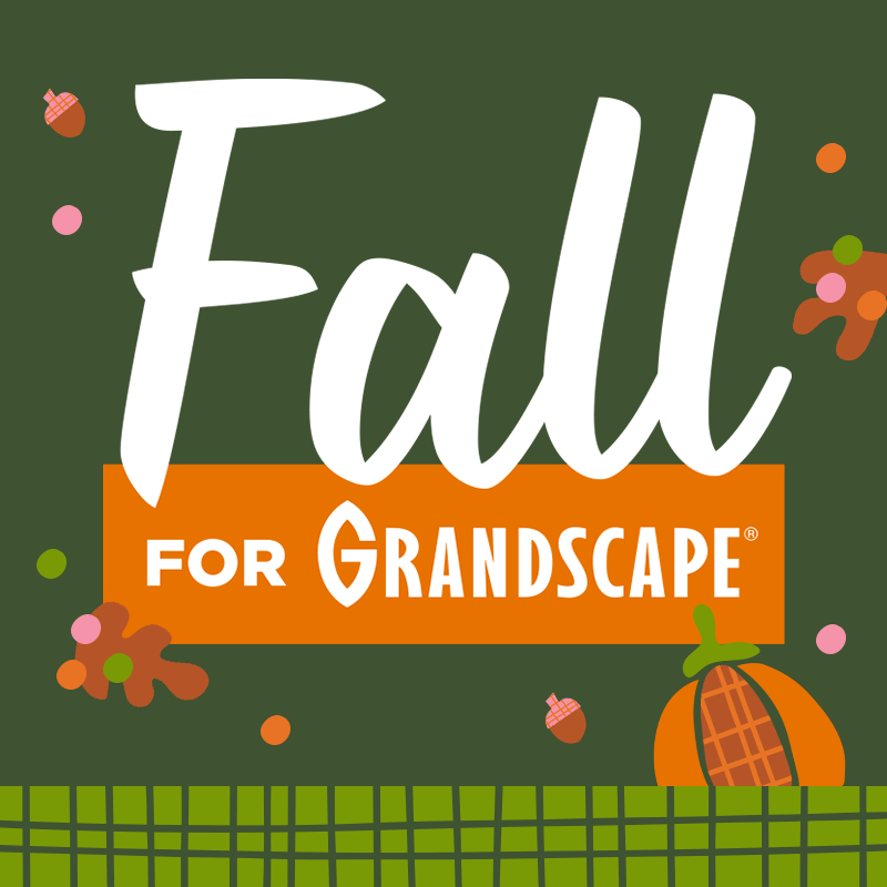 Fall for Grandscape
