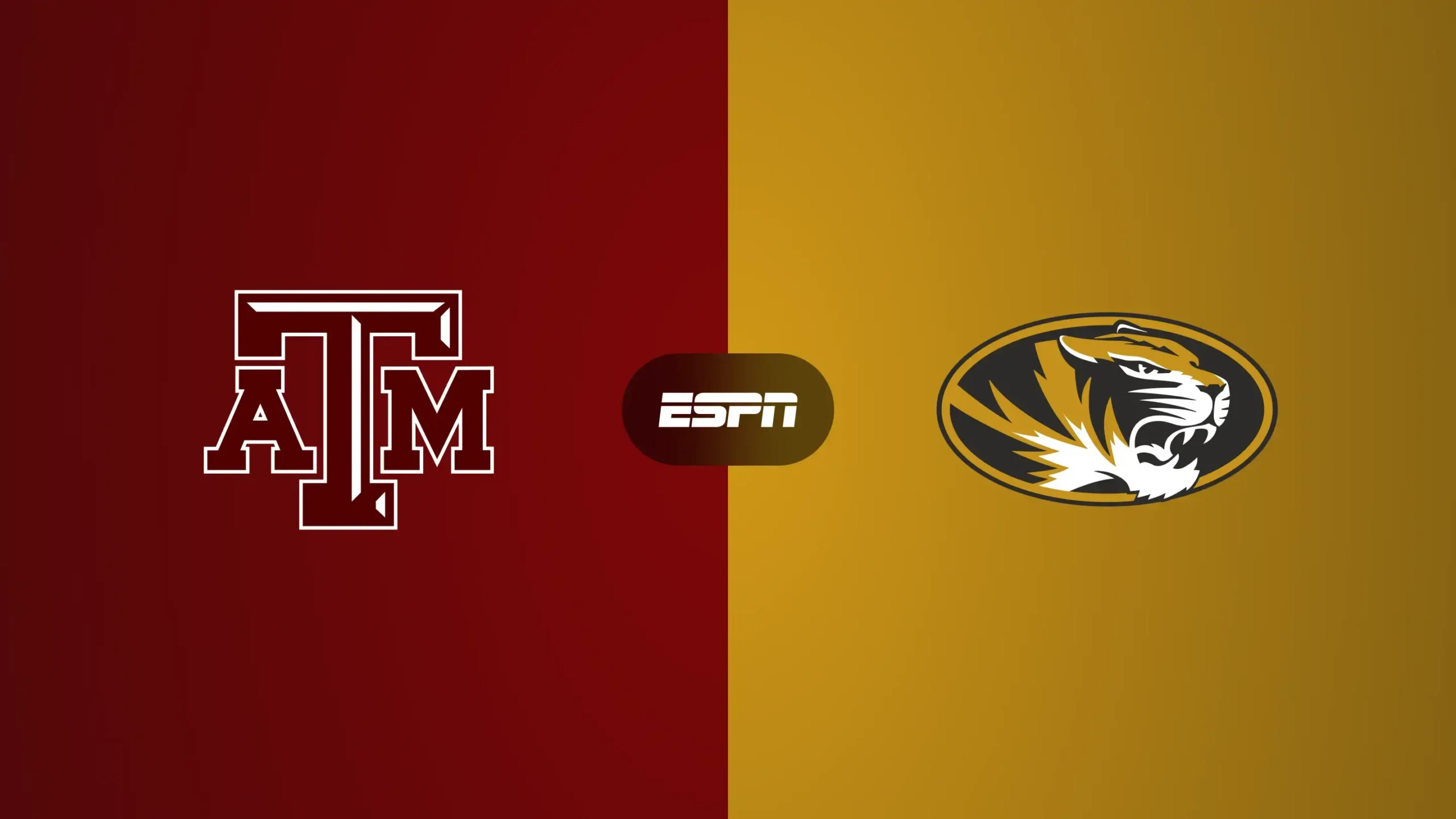 110825-NCAAFB-TAMvMIZZOU_v2