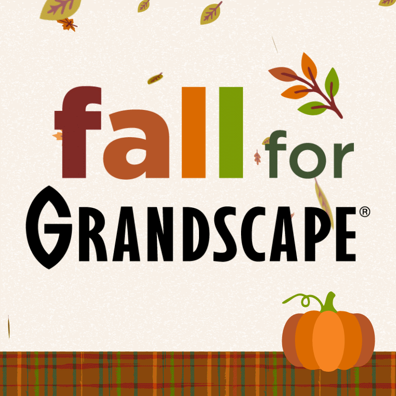 Fall for Grandscape