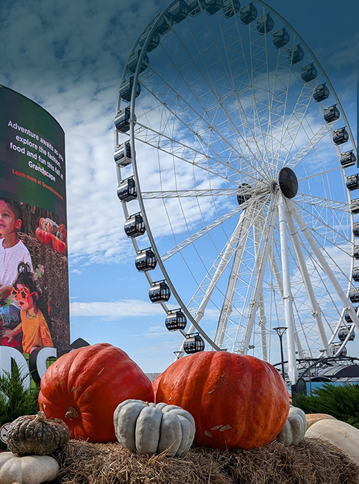 Grandscape Wheel